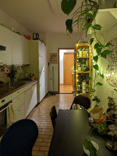 14.6.2025 Flexible, minimum 2 weeks, maximum 2.5 months 1100 zurich-stadt