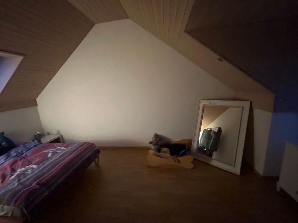 25.8.2025  1040 bern