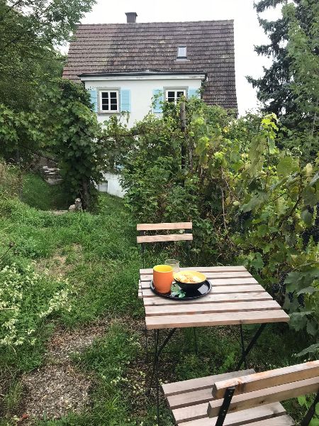 Sicht vom Garten auf das Haus