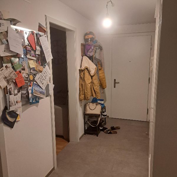 28.7.2025 Ende Jahr oder länger 550 solothurn