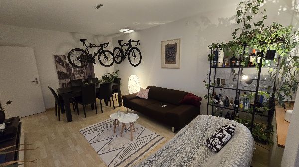 living room (TV stand in front)
