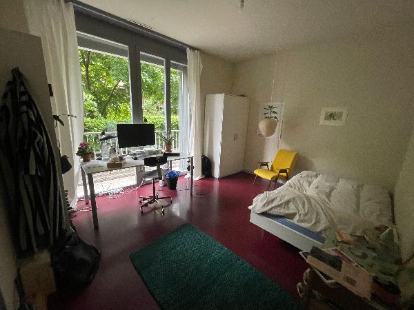 1.6.2025 End of July/start of August, flexible 674 zurich-altstetten