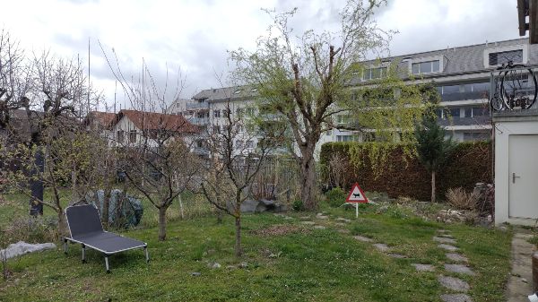 15.5.2025  650 chur