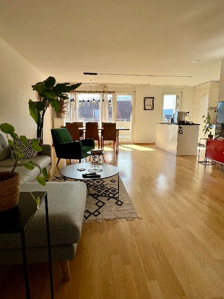 Wohnzimmer, Küche und Balkon