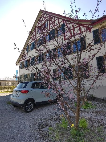 1.8.2025  1000 zurich-oberland