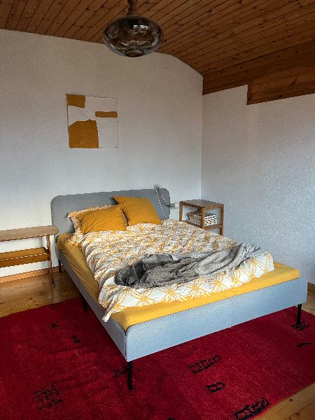 1.1.2025  450 liechtenstein