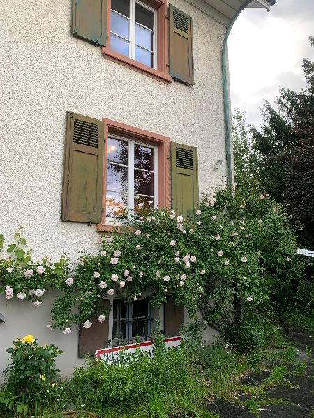 1.6.2025 31. Juli 2025 585 baselstadt