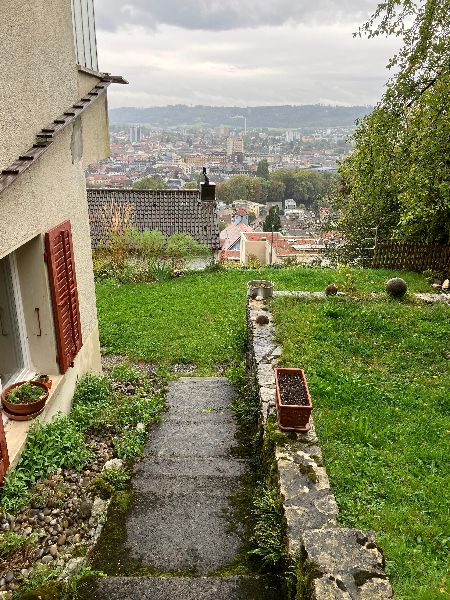 1.6.2025  650 biel