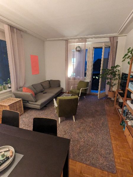 14.6.2025 Flexible, minimum 2 weeks, maximum 2.5 months 1100 zurich-stadt