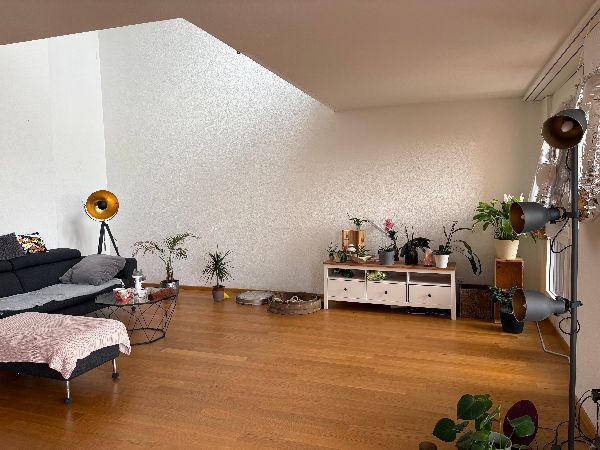 Grosses, offenes Wohnzimmer 