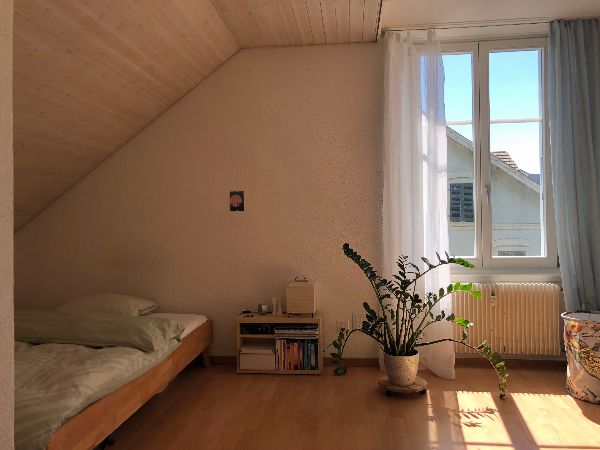 11.8.2025 nach Absprache  1050 bern