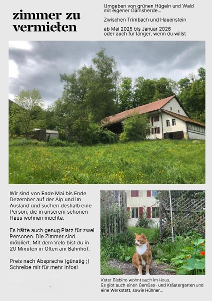 1.6.2025 Max. bis Ende Dezember (auch kürzer möglich) 700 olten