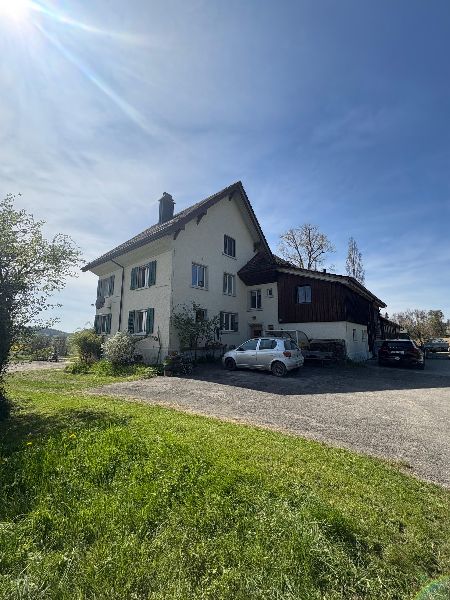 1.8.2025  700 zurich
