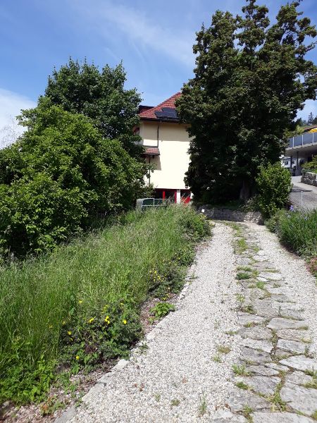 1.6.2025  450 bern