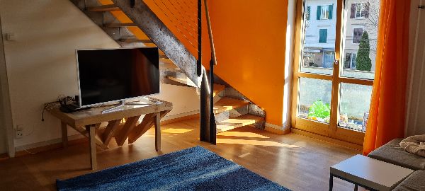 Das Wohnzimmer / The living room