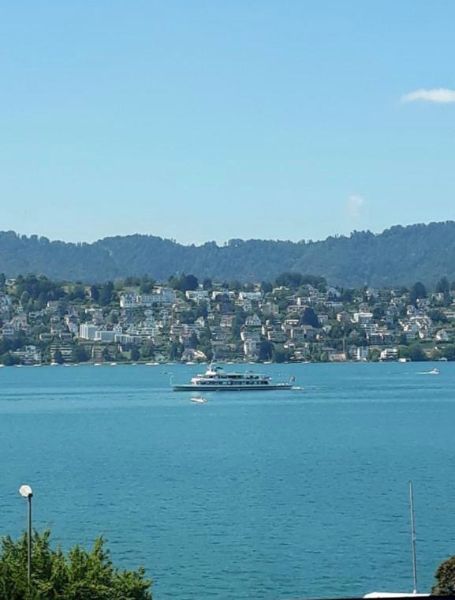 4.11.2020  1400 zurich-lake