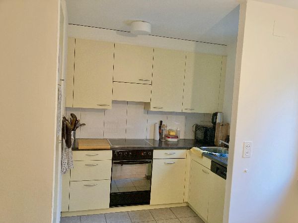 Küche mit Geschirrspüler 