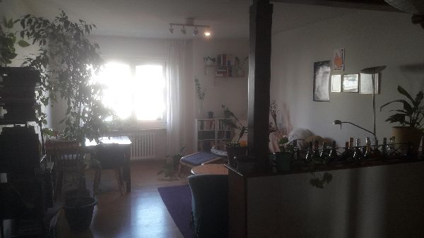 1.8.2025  635 baselstadt
