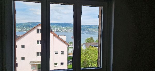 3.5.2025  890 zurich-lake
