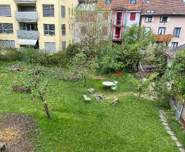 11.7.2025 Bis ende August oder nach Absprache 540 biel