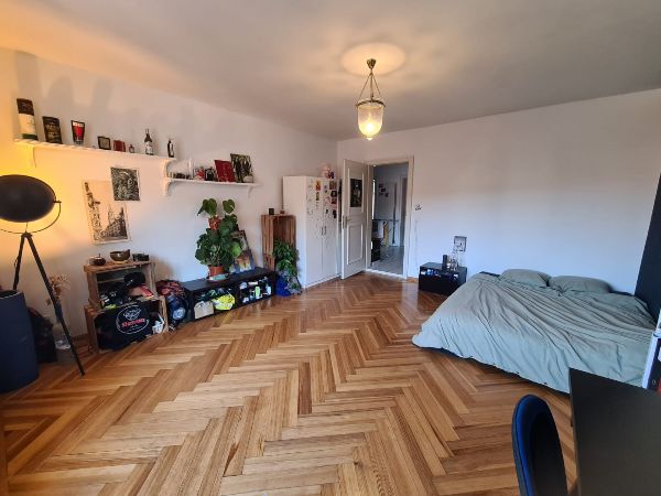 Nomau z Zimmer
