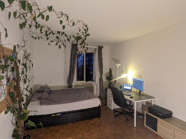 14.6.2025 Flexible, minimum 2 weeks, maximum 2.5 months 1100 zurich-stadt