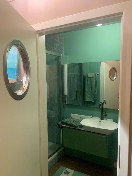 neues Badezimmer in grün, grosse Spiegel