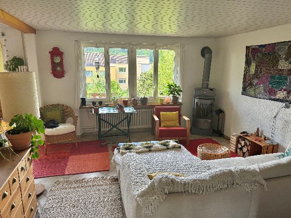Gemütliches Wohnzimmer