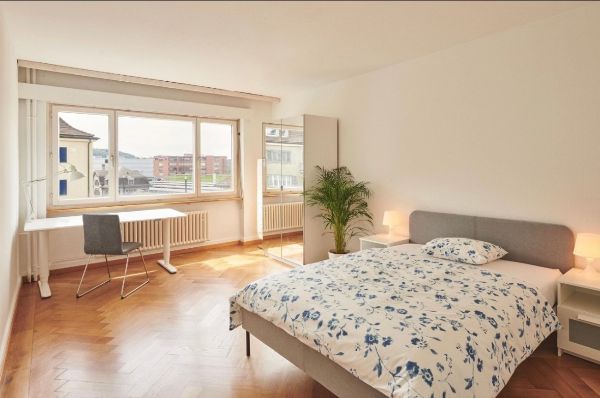 10.5.2025 Sublet from May to August with possible extension  1250 zurich-oerlikon