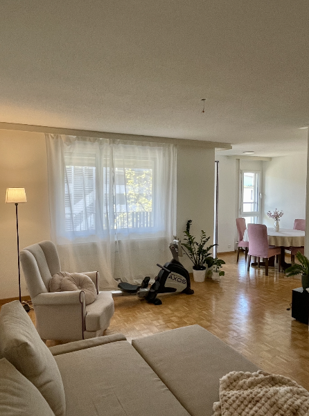 Living/dining room