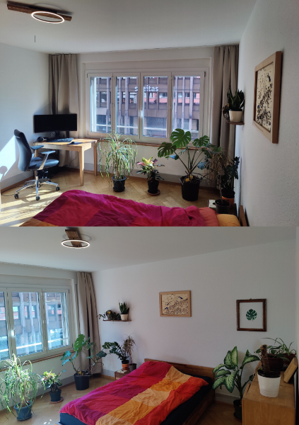 Das ist das Zimmer, was zu vermieten ist.