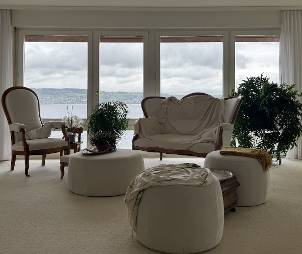 shared living space with lake view 