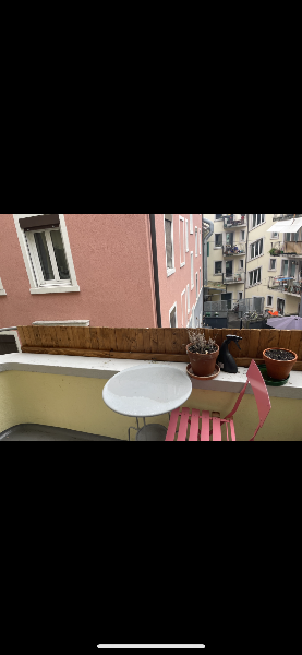 15.5.2025  1300 zurich-stadt